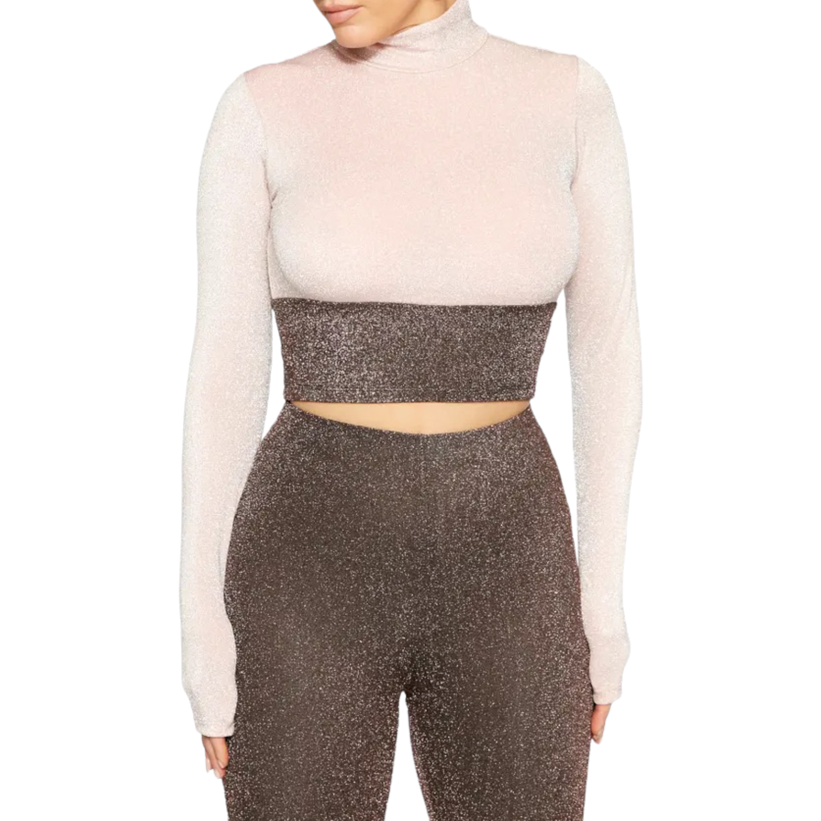 Naked Wardrobe Nordstrom Nwt Large Cropped Metallic Mock Neck Long Sleeve Top